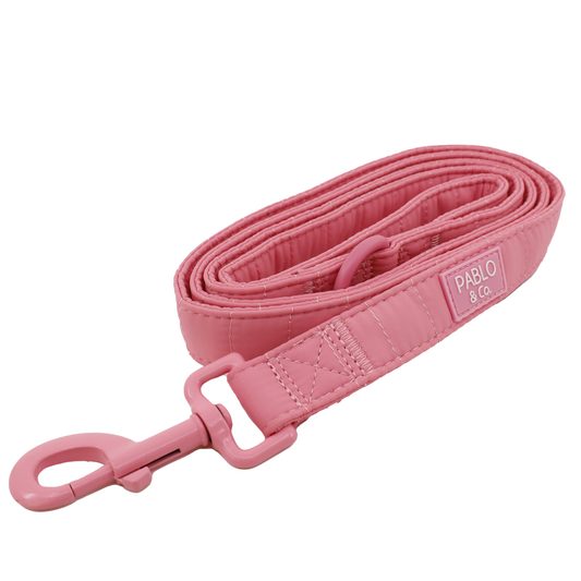Pink Puffer: Dog Leash