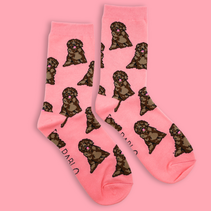 Pink Cavoodle: Breed Socks