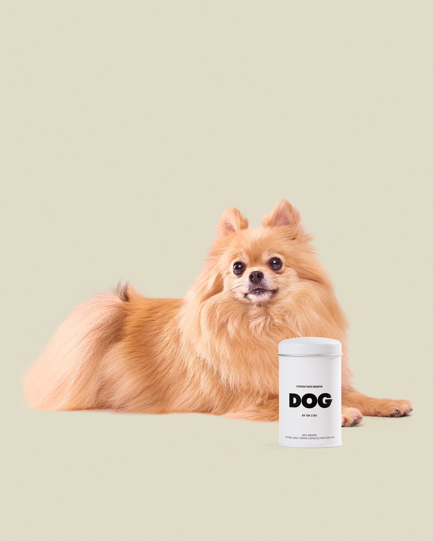 DOG By Dr Lisa Taste Booster