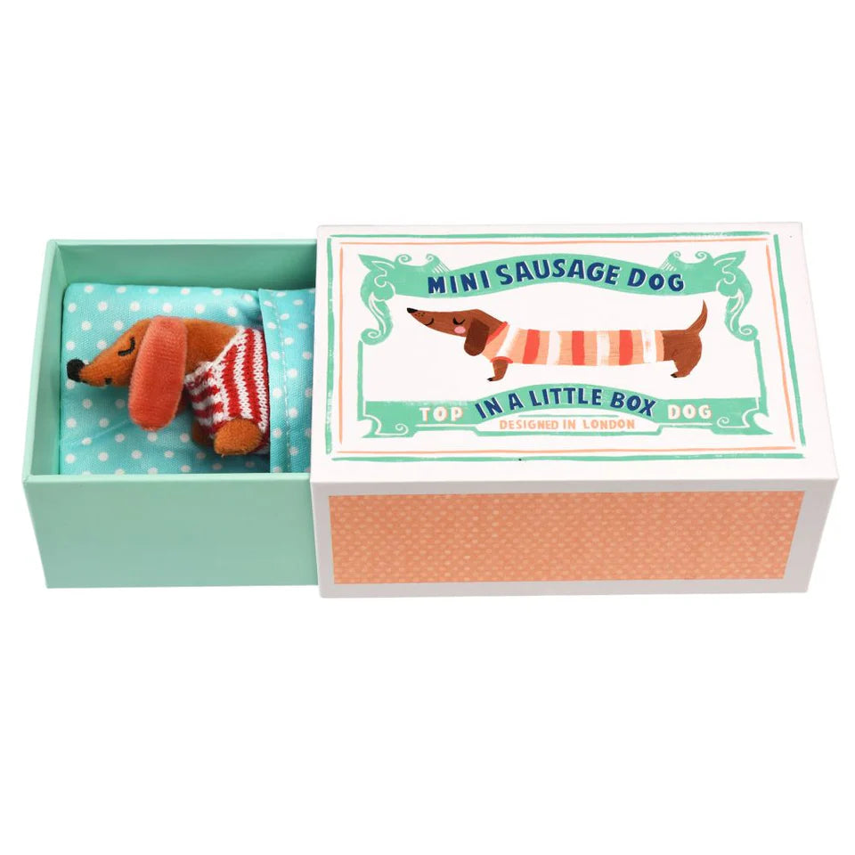 Rex London: Mini Sausage Dog in a Box