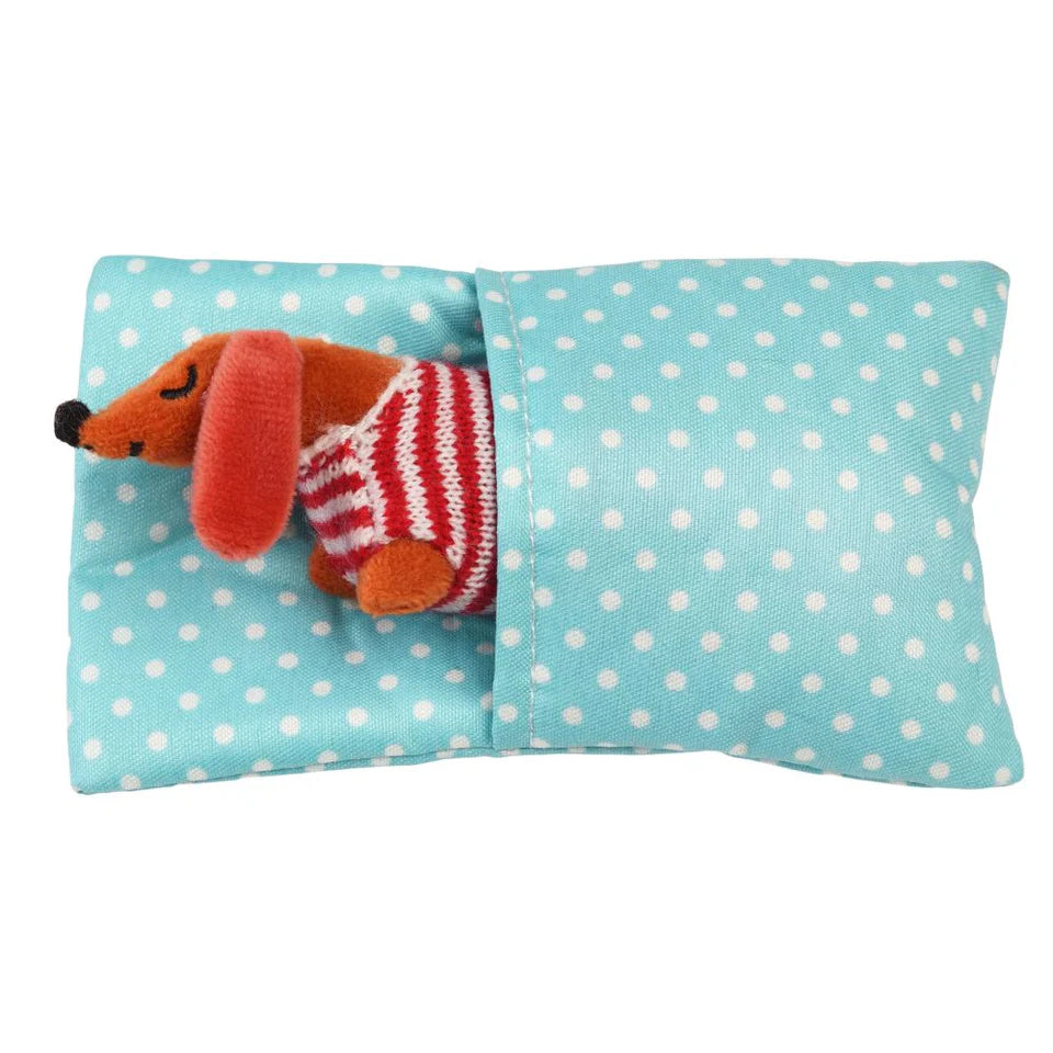 Rex London: Mini Sausage Dog in a Box