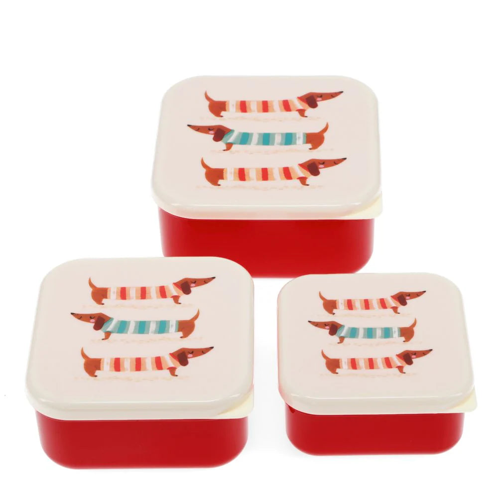 Snack Box Set of 3: Sausage Dog Ivory