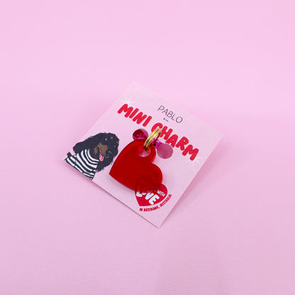 Acrylic Mini Charms