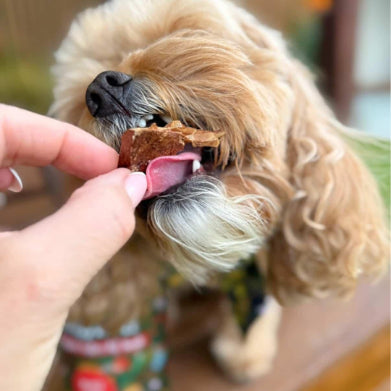 Pet Botanica Rudolph’s Choice - Beef Lung Dog Treats