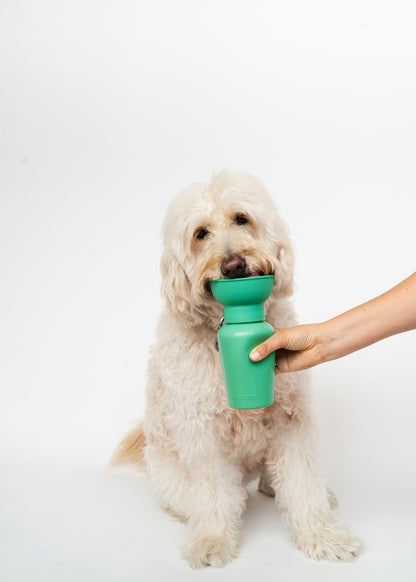 Flip Dog Travel Water Bottle