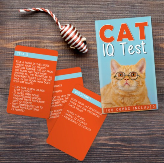 Cat IQ Test