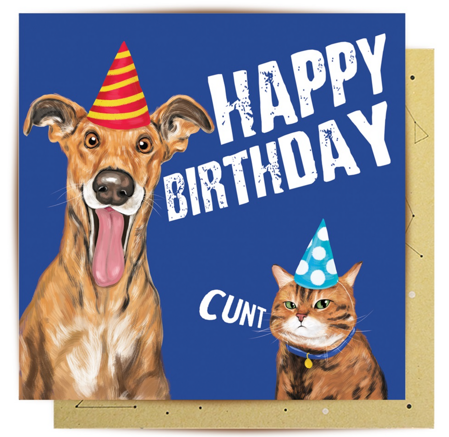 Happy Birthday C*nt: Greeting Card