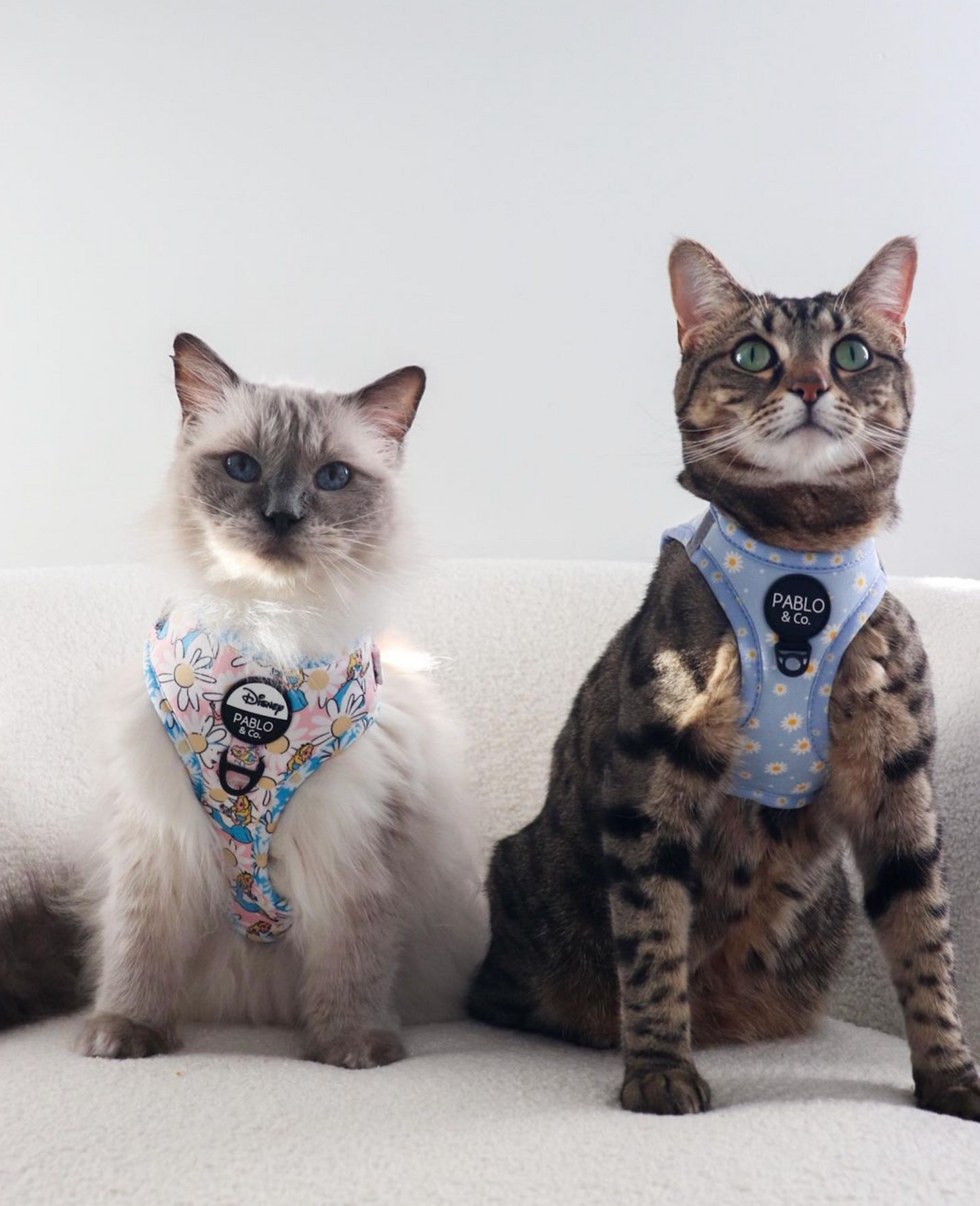 Alice in Wonderland: Step In Cat Harness