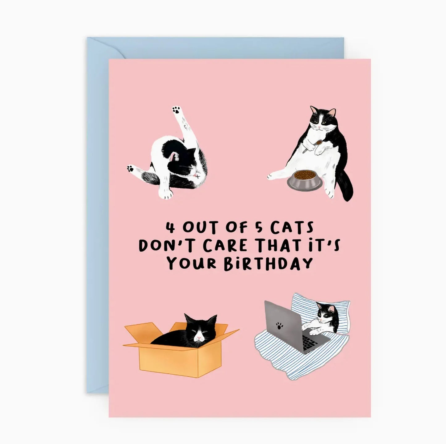 4 Out of 5 Cats Don't Care: Birthday Card