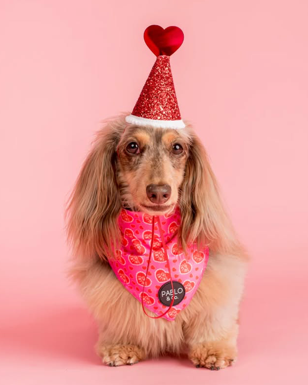 Galentine's Day - Bandana