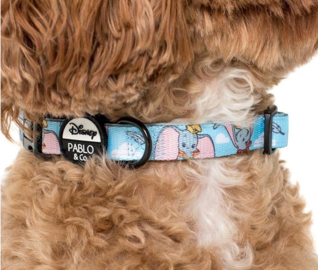 Dumbo in the Clouds: Collar