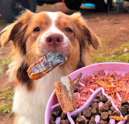 Crocodile Ridges: Biggie's Raw Pantry