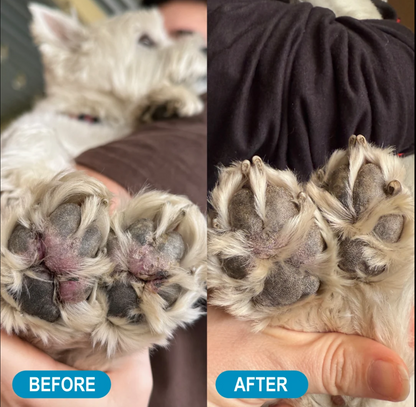 Moo Goo Crusty Nose Itchy Toes Nose & Paw Butter by Dr Zoo