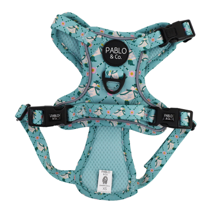 Silly Little Goose: No Pull Adventure Harness
