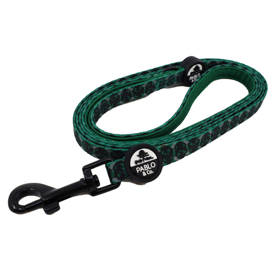 Harry Potter - Slytherin: Cat Leash