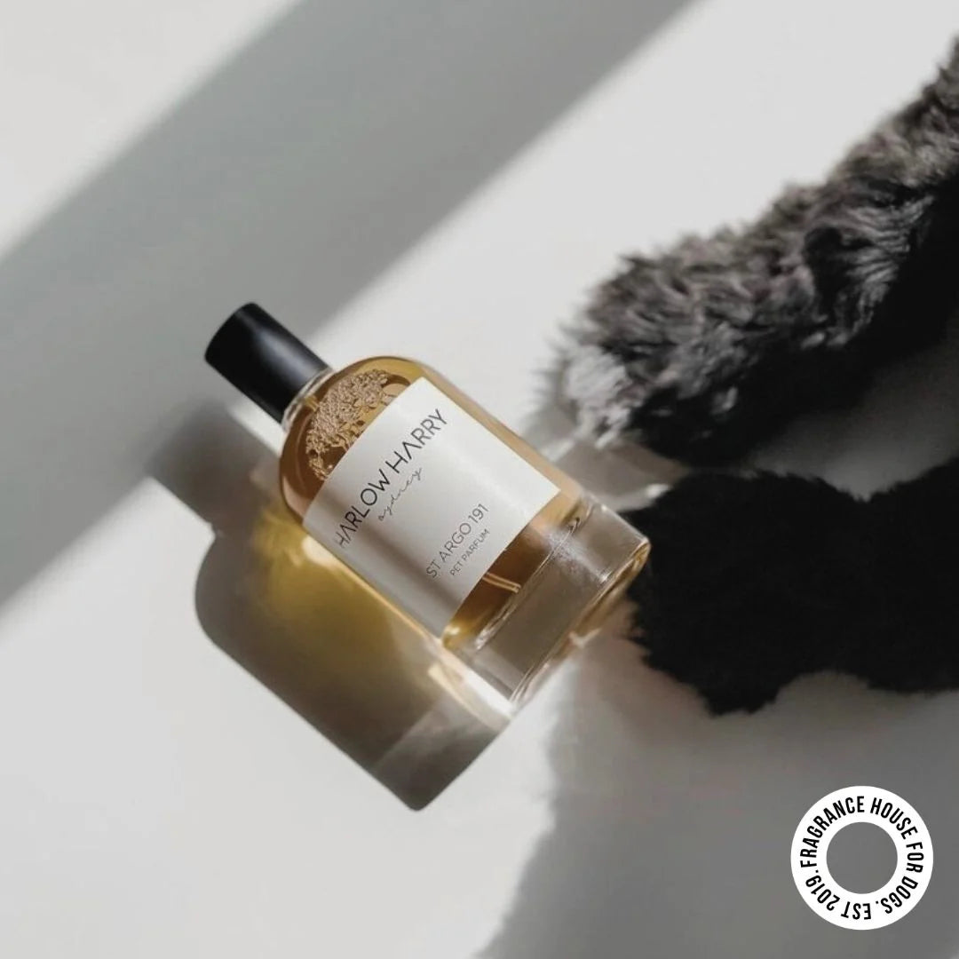 Harlow Harry: Dog Perfume | Solera 145