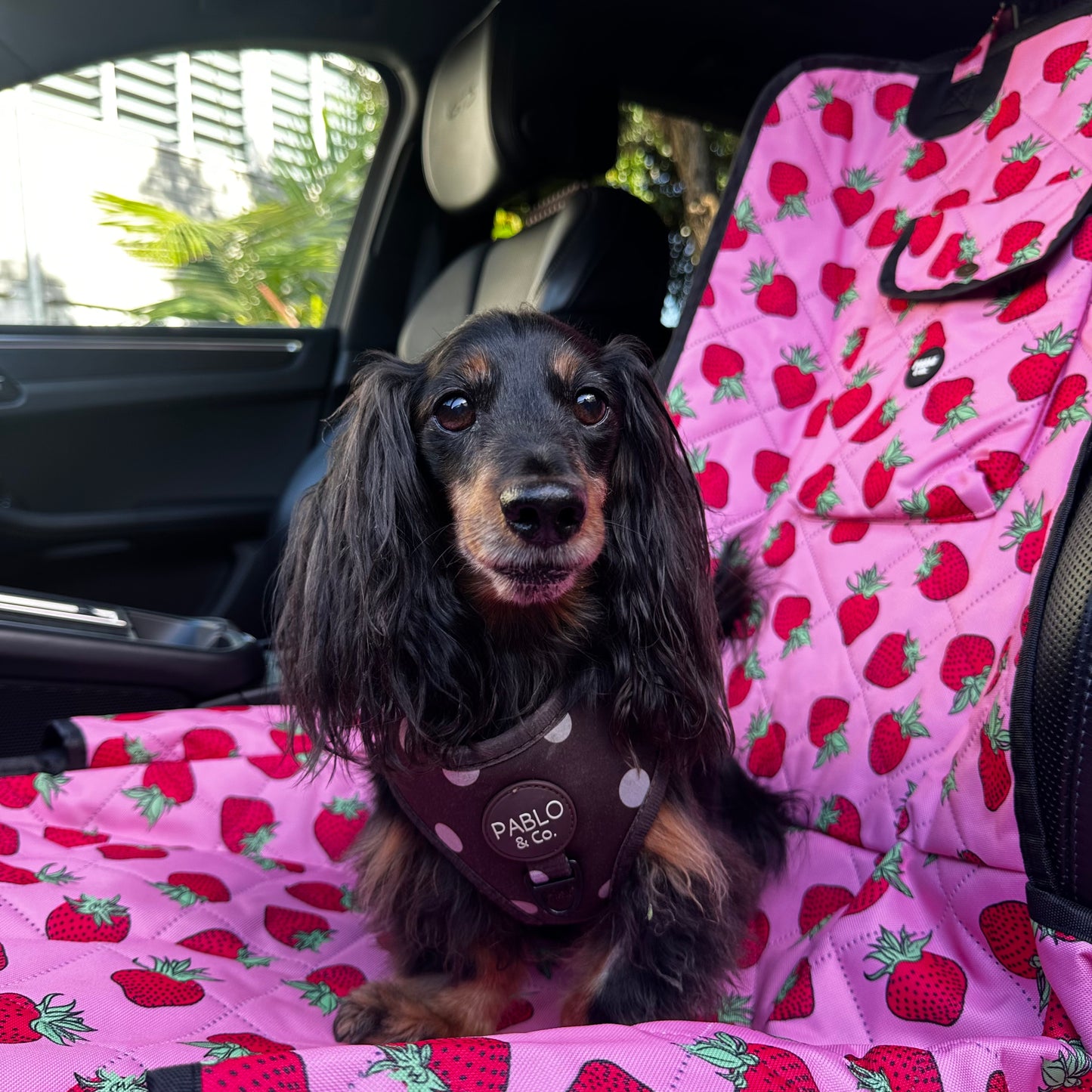 Strawberries: Deluxe Single Car Seat Cover
