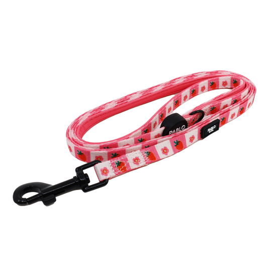 Strawberry Patch: Cat Leash