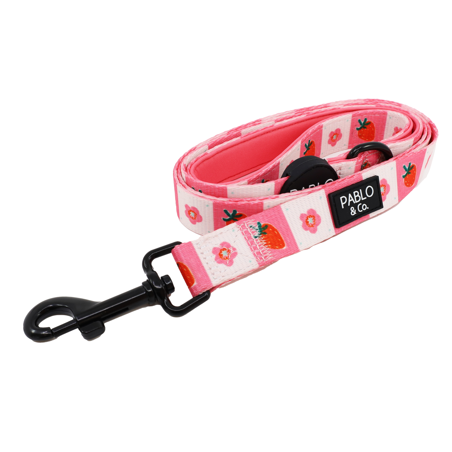 Strawberry Patch: Dog Leash
