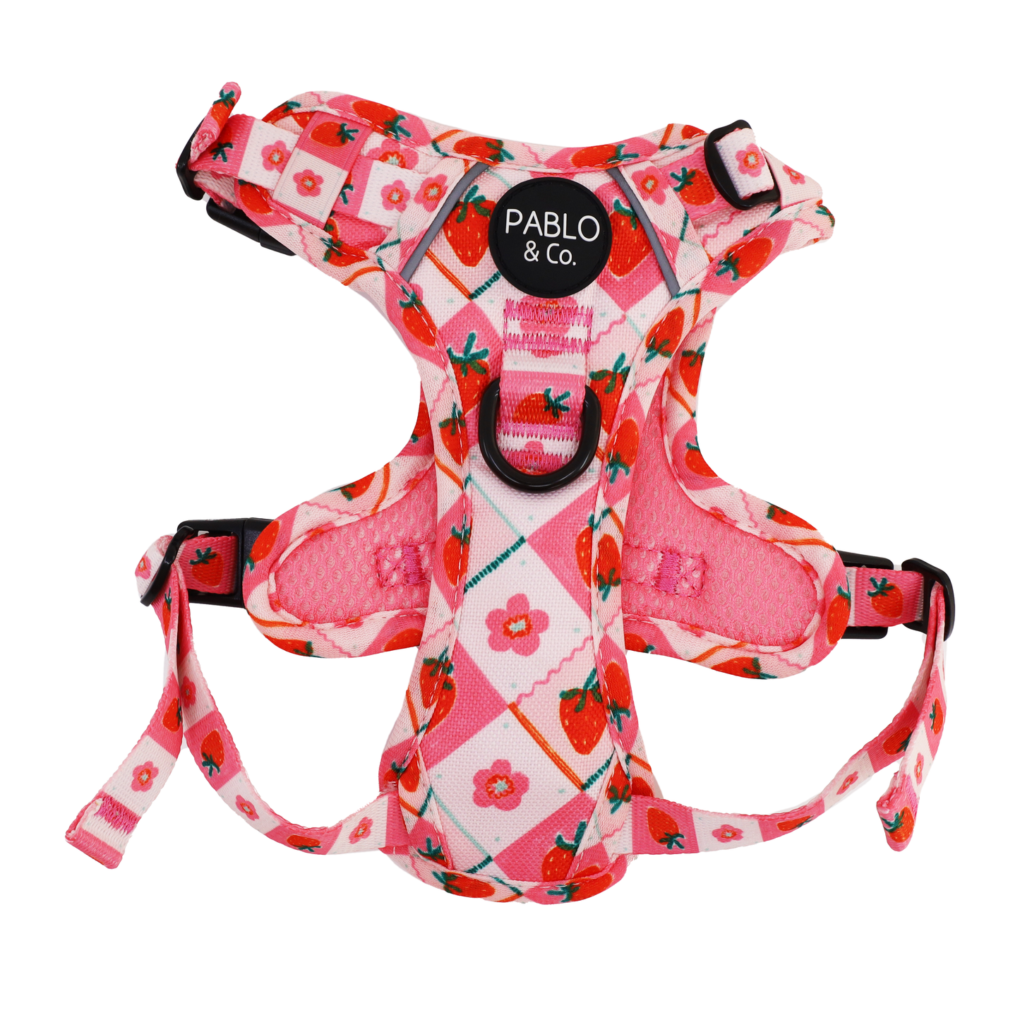 Strawberry Patch: No Pull Adventure Harness