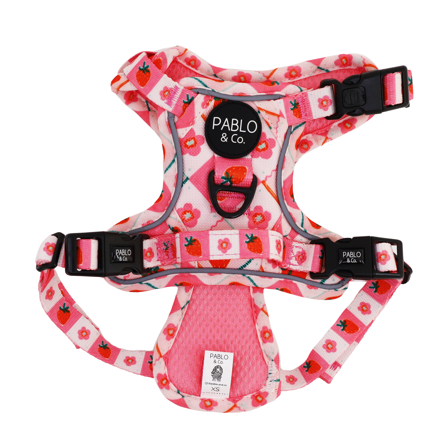 Strawberry Patch: No Pull Adventure Harness