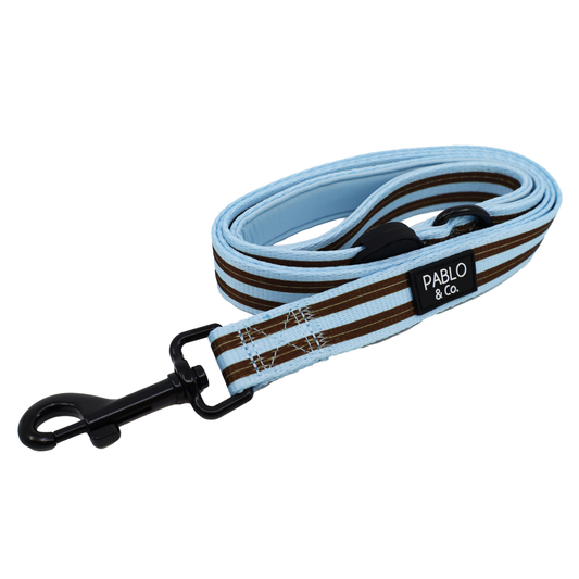 Sunday Stripes: Dog Leash
