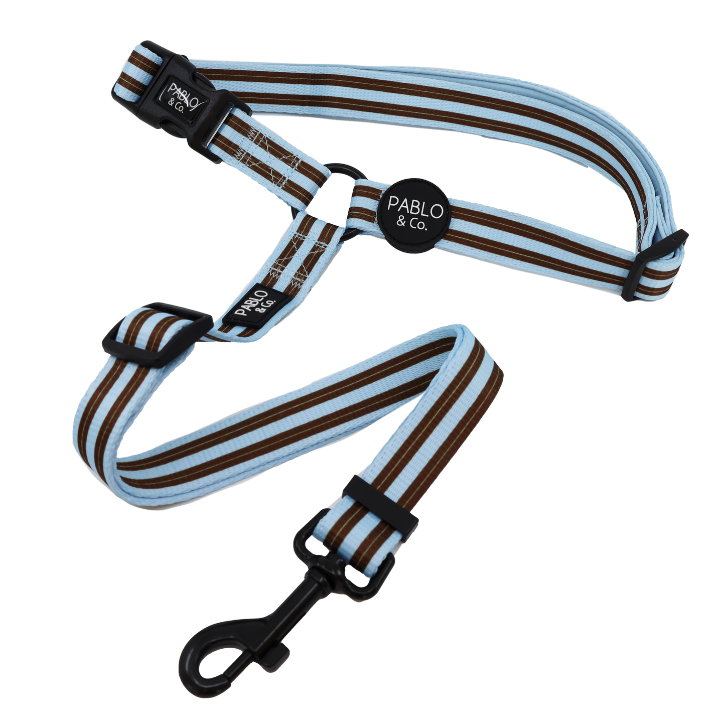 Sunday Stripes: Headrest Car Restraint