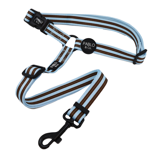 Sunday Stripes: Headrest Car Restraint