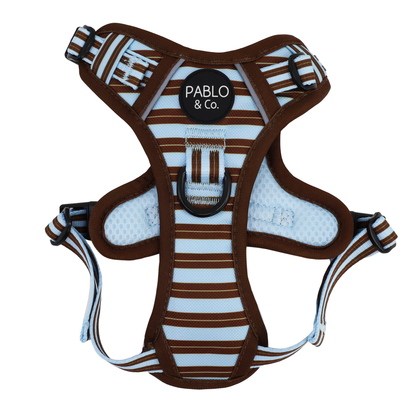 Sunday Stripes: No Pull Adventure Harness