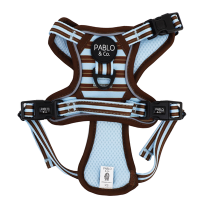 Sunday Stripes: No Pull Adventure Harness