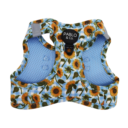 Sunny Sunflowers: Step In Cat Harness