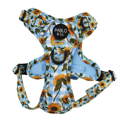 Sunny Sunflowers: No Pull Adventure Harness