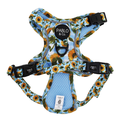 Sunny Sunflowers: No Pull Adventure Harness