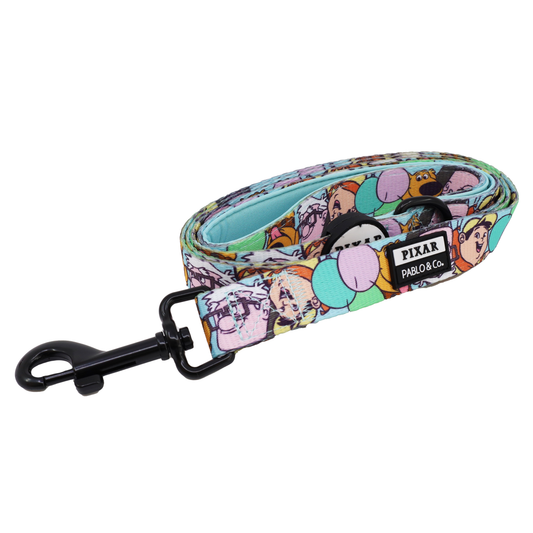 Up: Dog Leash