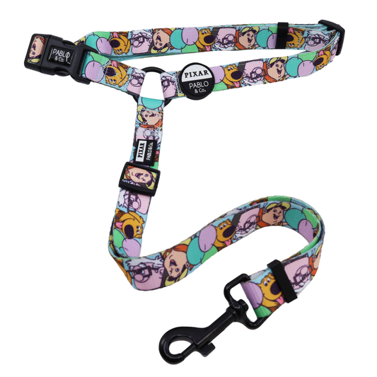 Up: Headrest Car Restraint