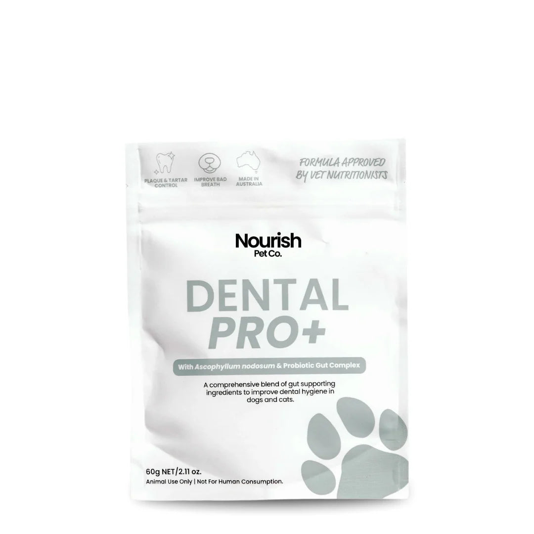 Pet Drs: Dental Pro+