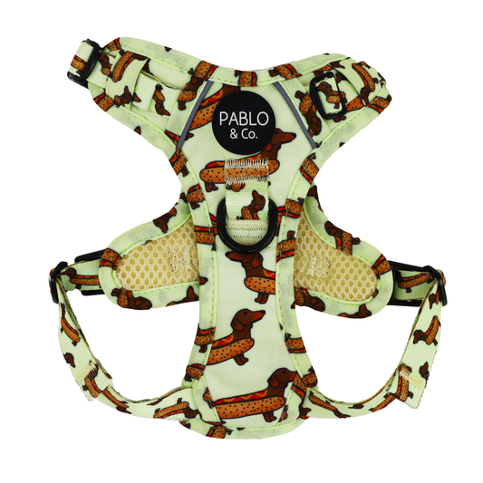 Wiener Dogs: No Pull Adventure Harness