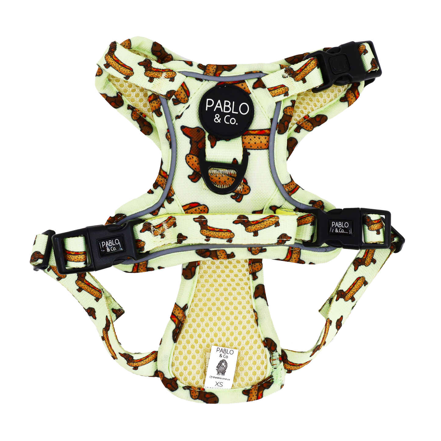 Wiener Dogs: No Pull Adventure Harness
