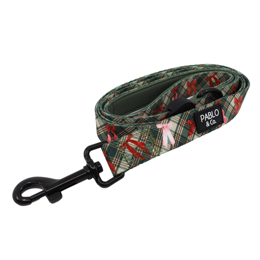 Wrapped in Ribbons: Dog Leash