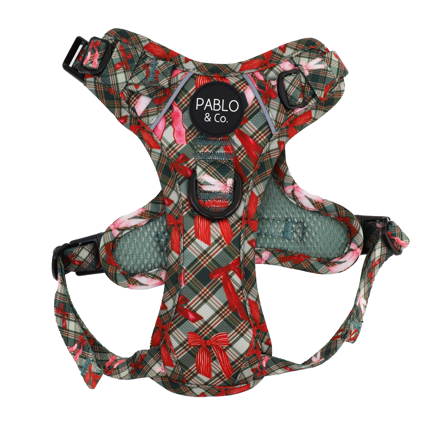 Wrapped in Ribbons: No Pull Adventure Harness