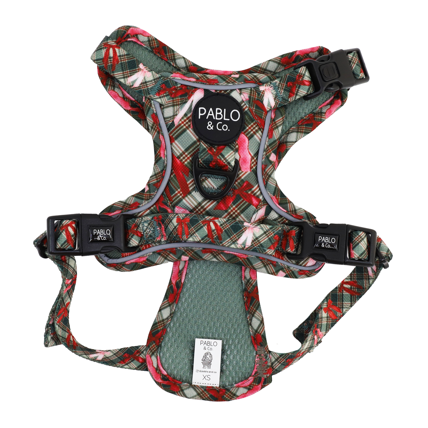 Wrapped in Ribbons: No Pull Adventure Harness