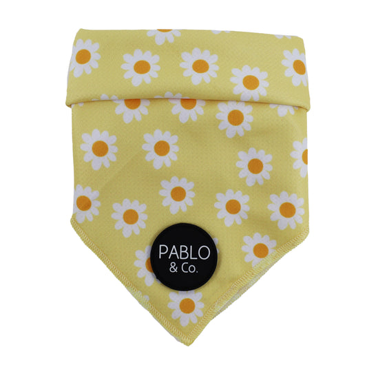 Yellow Daisy: Dog Bandana