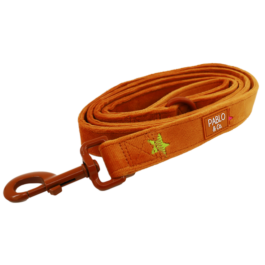 You're A Star: Velvet Dog Leash