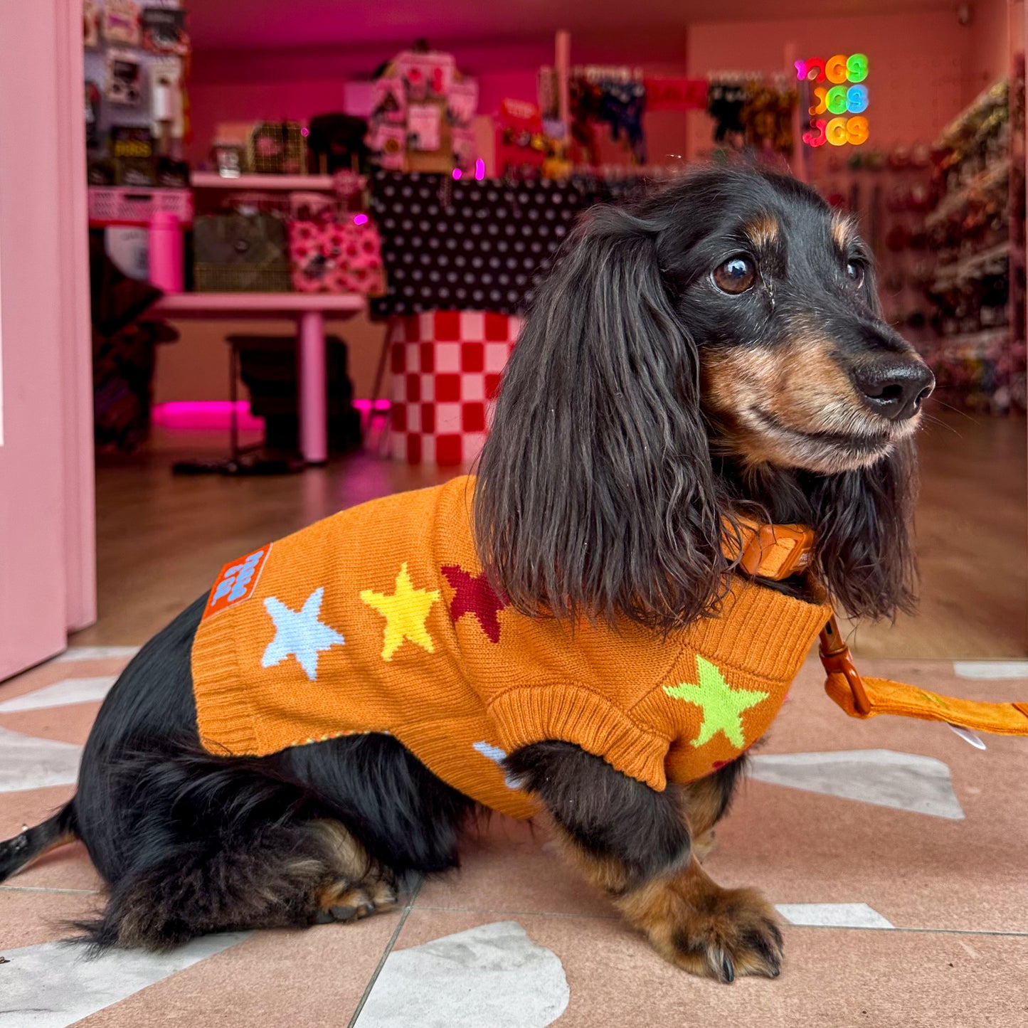 You're A Star: Sweater