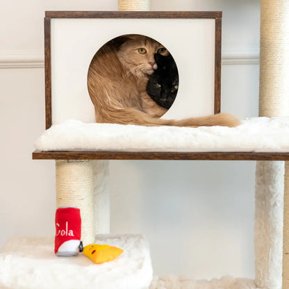 Zippy Claws: NomNomz Pizza & Cola