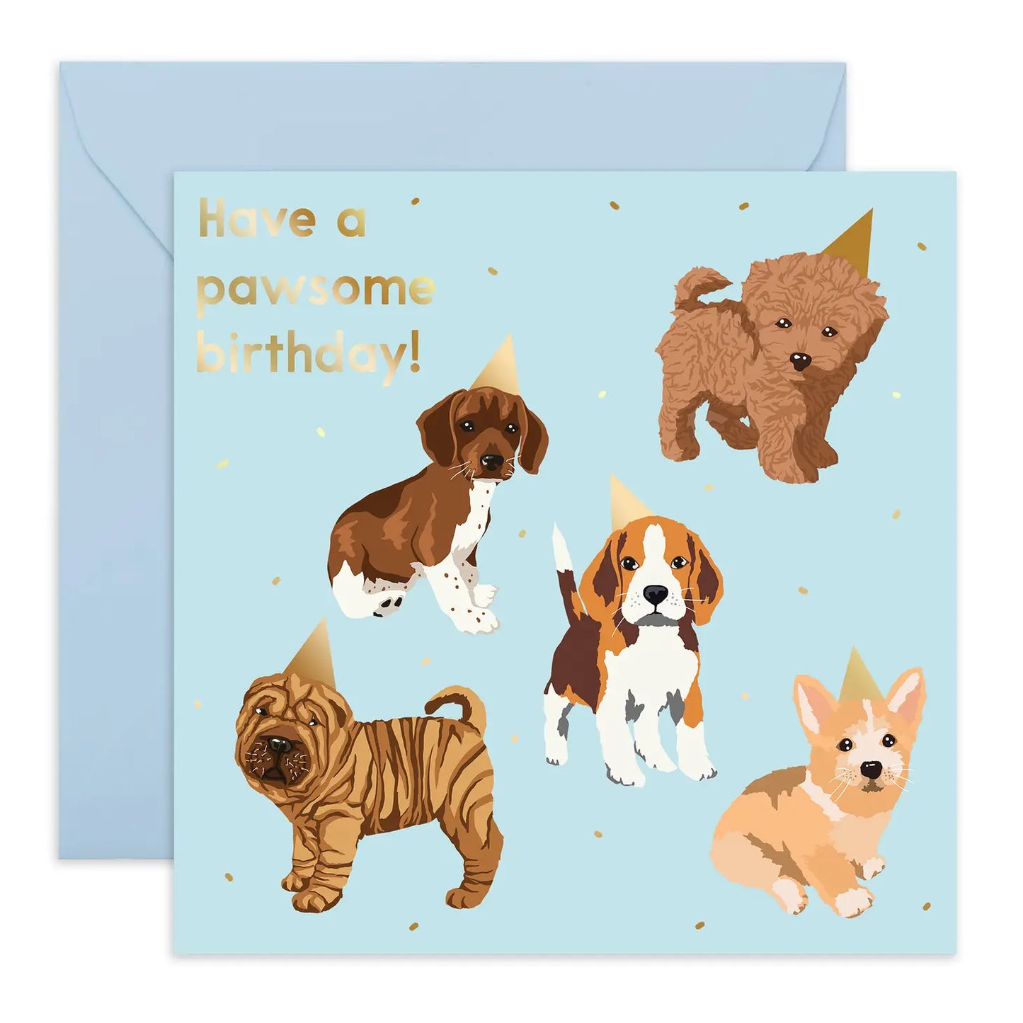 Birthday Hat Dogs: Greeting Card