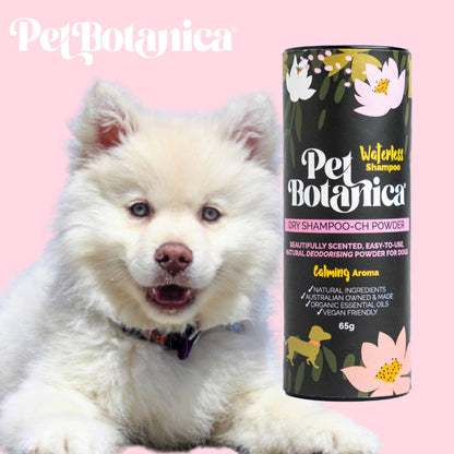 Dry Shampoo for dogs