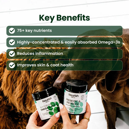 Nourish Pet Co Phytoplankton Omega & Multi Meal Topper 80g