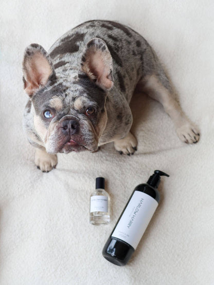 Harlow Harry: 2-in-1 Conditioning Dog Shampoo | St Argo 191