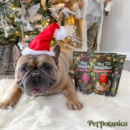 Pet Botanica Festive Dog Treats